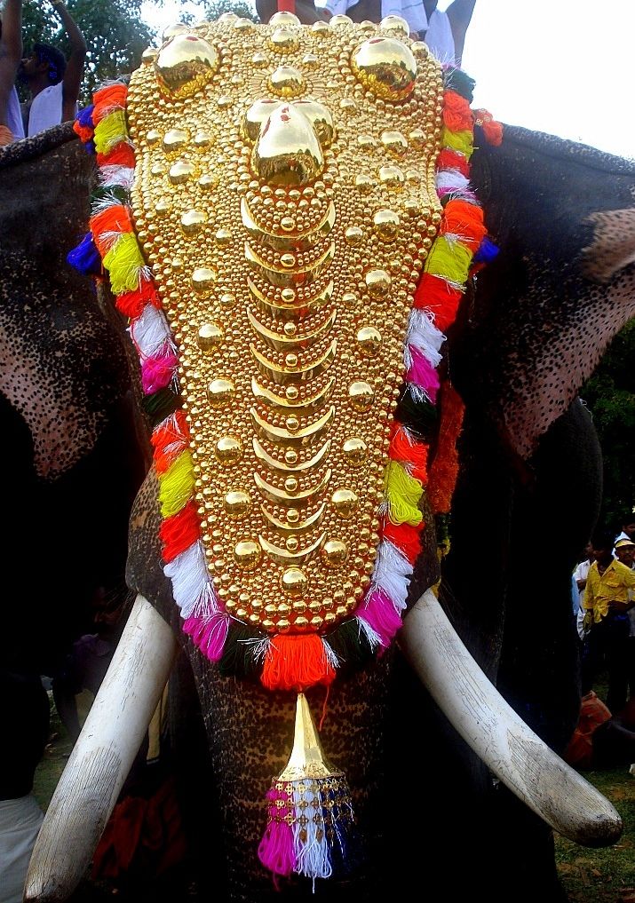 Neetipattam